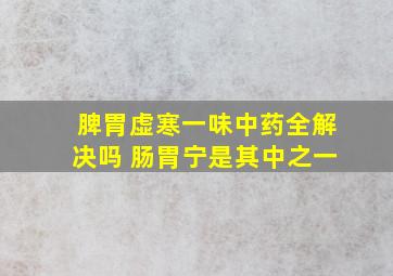 脾胃虚寒一味中药全解决吗 肠胃宁是其中之一